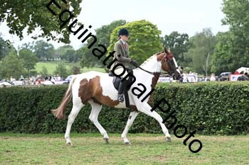 BUG-2778