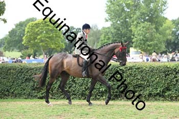 BUG-2781