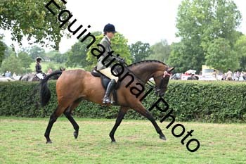 BUG-2785
