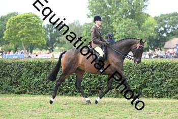 BUG-2802