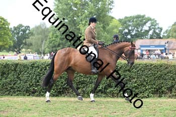 BUG-2804