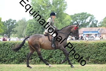 BUG-2815