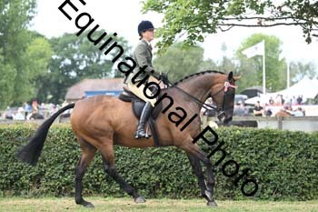 BUG-2819