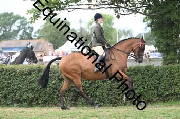 BUG-2831