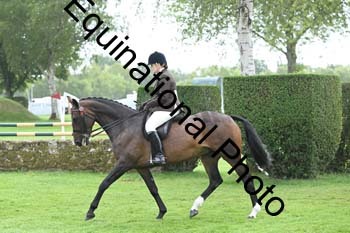 BUG-2856