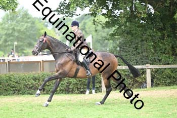 BUG-2900