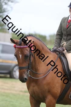 BUG-3044