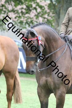 BUG-3069