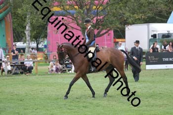 BUG-3278