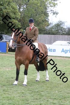 BUG-3631