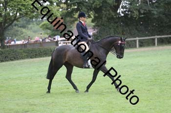 BUG-3804