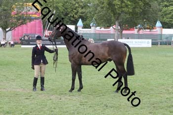 BUG-3906