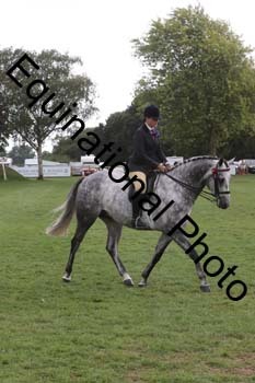BUG-3995