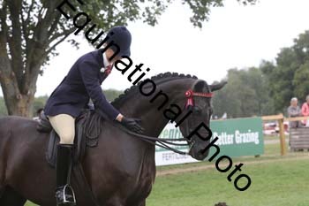 BUG-4011