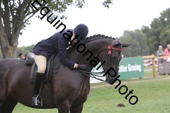 BUG-4013