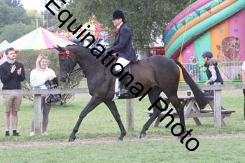BUG-4065