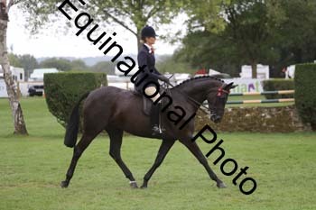 BUG-4076