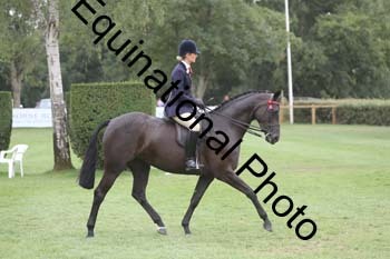 BUG-4078