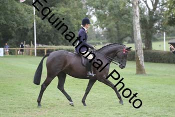BUG-4079