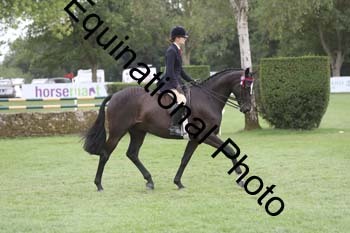 BUG-4082
