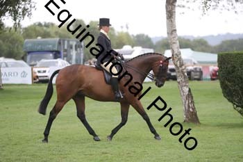 BUG-4087