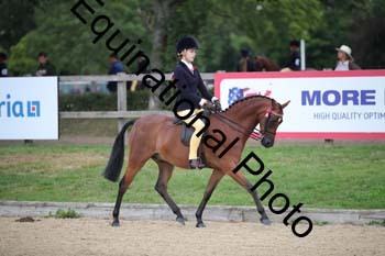 FIV-1006