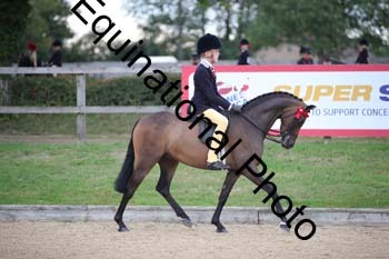 FIV-1028