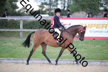 FIV-1032
