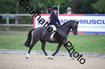 FIV-1043