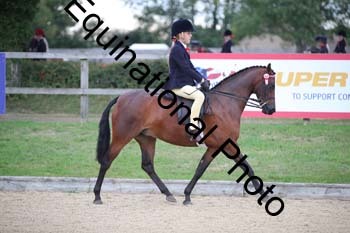 FIV-1048