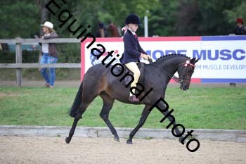 FIV-1067
