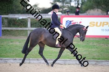 FIV-1069
