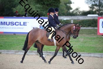 FIV-1080