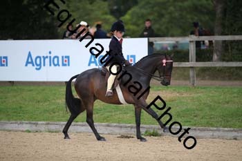 FIV-1086