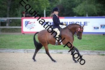 FIV-1096