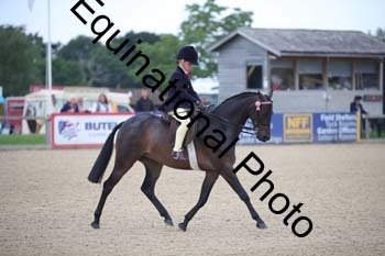 FIV-1132