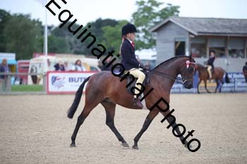 FIV-1139