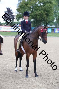 FIV-1184