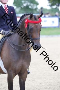 FIV-1202