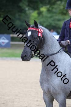 FIV-1222