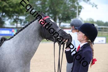 FIV-1290