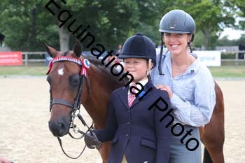 FIV-1329