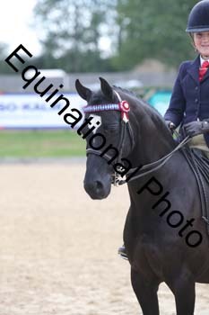 FIV-1463