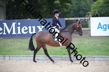 FIV-1583