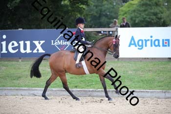 FIV-1586