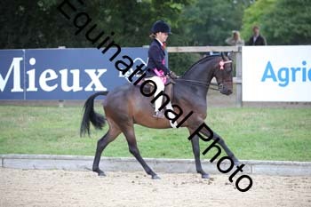 FIV-1590