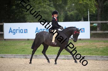 FIV-1627
