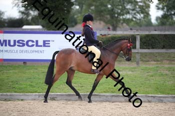 FIV-1655