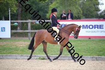 FIV-1667
