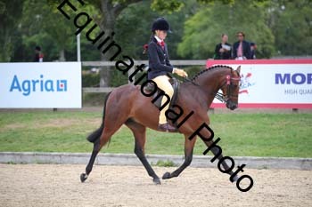 FIV-1670